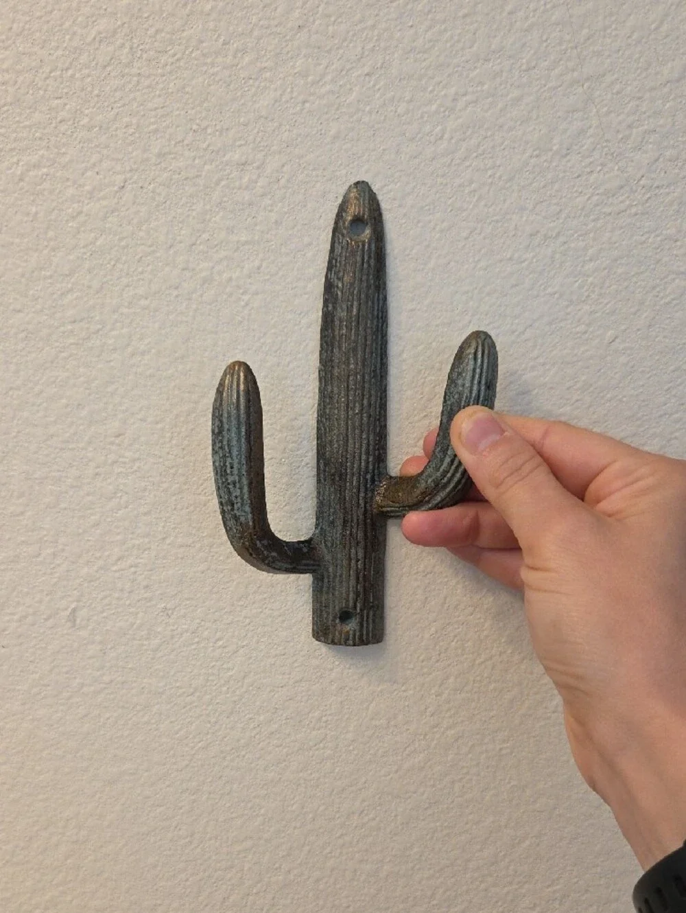 Rustic Cactus Wall Hooks - Distressed Teal Green Pair